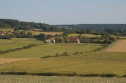 Les-Maisons-Neuves.jpg